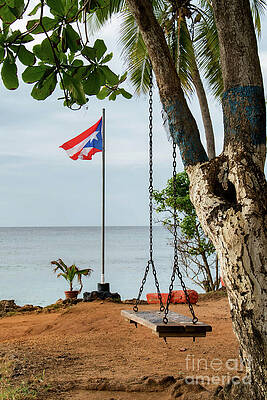 Quiet Beach with Swing and Flag Wall Art