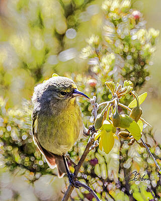 Wall Art featuring the photograph Quiet Contemplation by Charlie Osborn