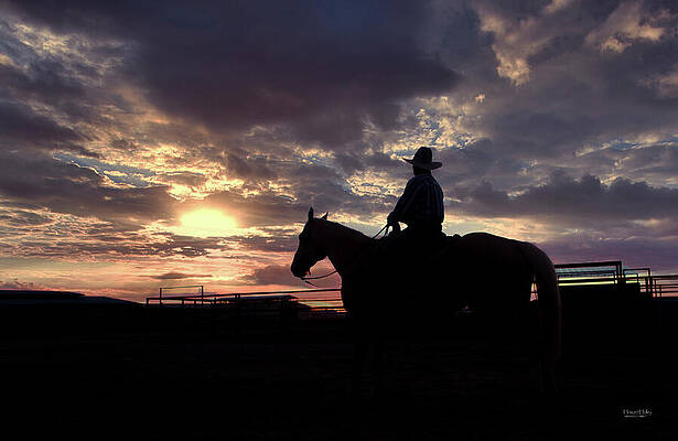 Cowboy at Sunset Wall Art