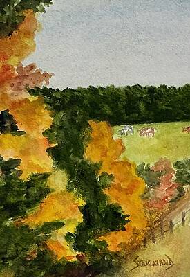 Autumn Forest with Distant Meadow Wall Art