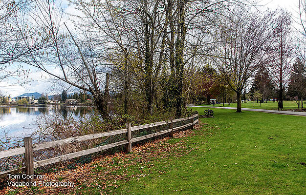 Spring Photograph - Quiet Mill Lake Park In Spring by Tom Cochran