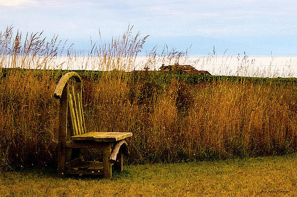 Quiet Wall Art featuring the photograph Quiet Time by Barbara Siegel