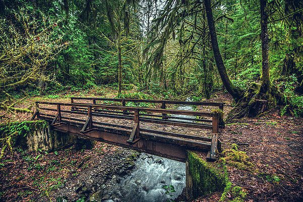 Moody Photograph - Quinault Bridge by Abbie Warnock