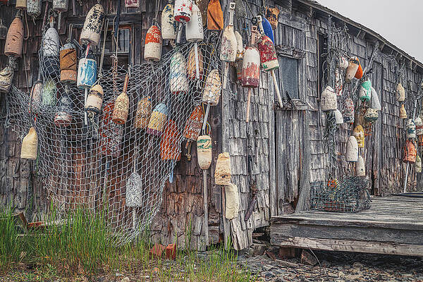 Wall Art featuring the photograph Quintessential Lobster Shack by Penny Polakoff