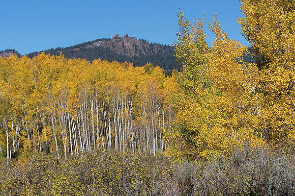 Colorado Photograph - Rabbit Ears Pass Autumn Landscape by Cascade Colors