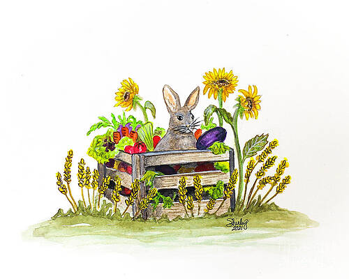 Painting - Rabbit In The Veggies by Shirley Dutchkowski