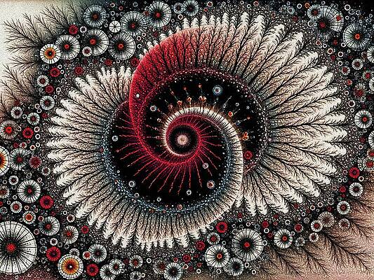 Digital Art - Radiant Crimson Spiral by Deb Beausoleil
