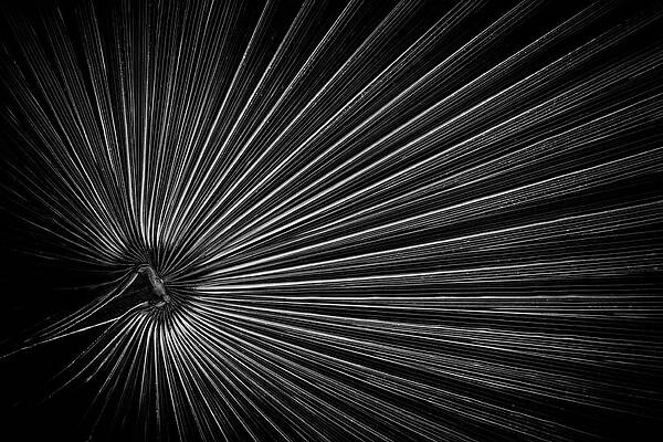 Abstract Wall Art featuring the photograph Radiating Lines by Elvira Peretsman