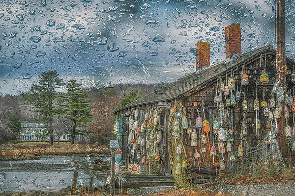 Wall Art featuring the photograph Rain Drops Keep Falling by Penny Polakoff