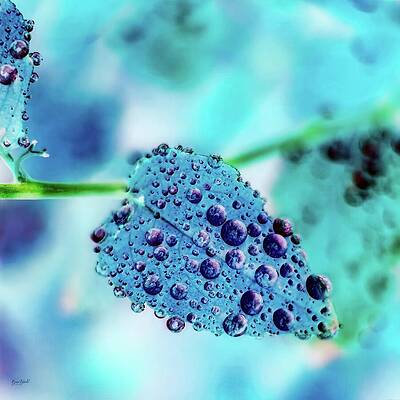 Colorful Wall Art featuring the digital art Rain Drops On A Leaf by Bruce Block