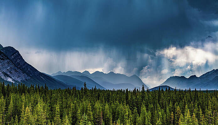 Photograph - Rain On The Kananaskis by Tommy Farnsworth