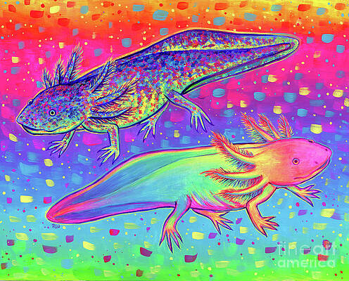 Painting - Rainbow Axolotls by Rebecca Wang