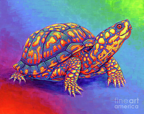 Painting - Rainbow Eastern Box Turtle by Rebecca Wang