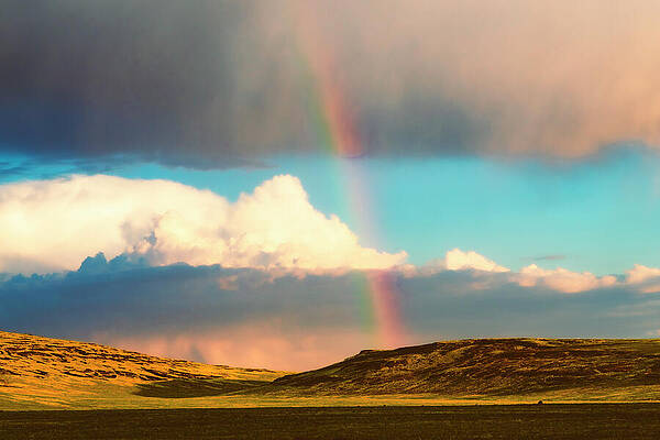 Wall Art featuring the photograph Rainbow In The Desert by Mike Lee
