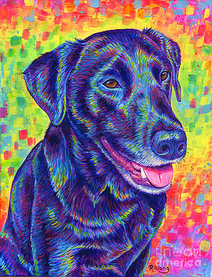 Painting - Rainbow Labrador Retriever by Rebecca Wang
