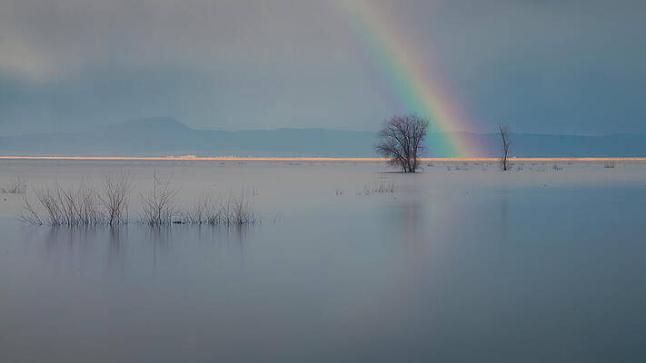 Moody Wall Art featuring the photograph Rainbow Over Flooded Wetlands - Lower Klamath Wildlife Refuge by Mike Lee