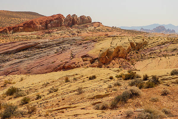 Desert Wall Art featuring the photograph Rainbow Vista by Dawn Richards