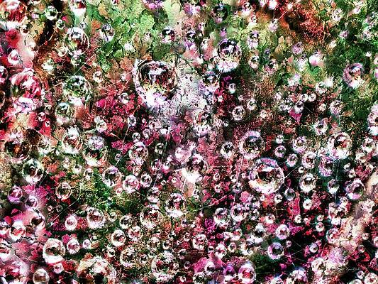 Wall Art featuring the digital art Raindrops In A Spiderweb With Tree Lichen Background by Bruce Block