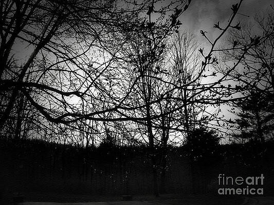 Landscape Wall Art featuring the photograph Raindrops In The Dark by Onedayoneimage Photography