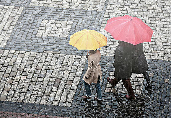 Germany Wall Art featuring the photograph Rainy Day In Heidelberg by Tatiana Travelways