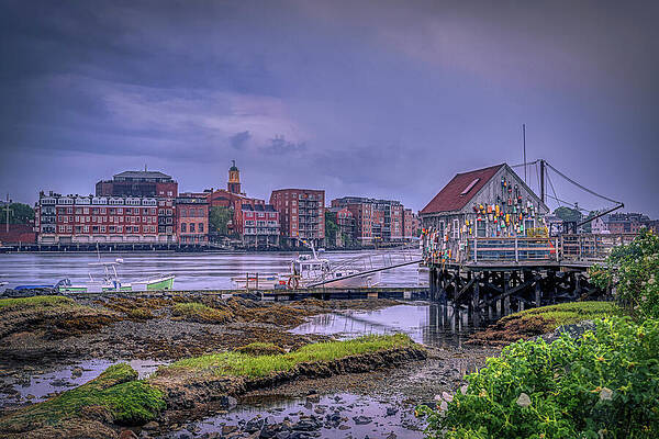 Wall Art featuring the photograph Rainy Morning At Badgers Island by Penny Polakoff