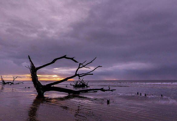 South Carolina Wall Art featuring the photograph Rainy Morning  At Botany Bay by Douglas Wielfaert