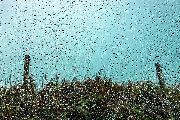 Wall Art featuring the photograph Rainy Windshield Sand Dune by Blair Damson