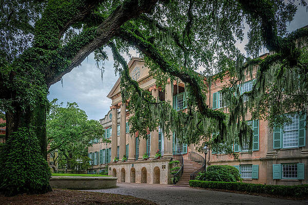 Natural Photograph - Randolph Hall - Color by Maryanne Keeling