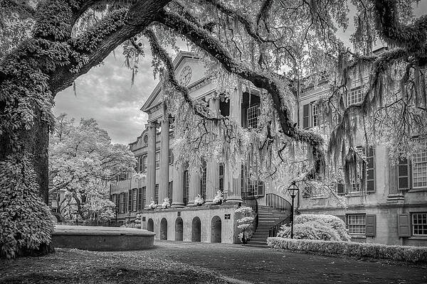 Natural Photograph - Randolph Hall - IR Black And White by Maryanne Keeling