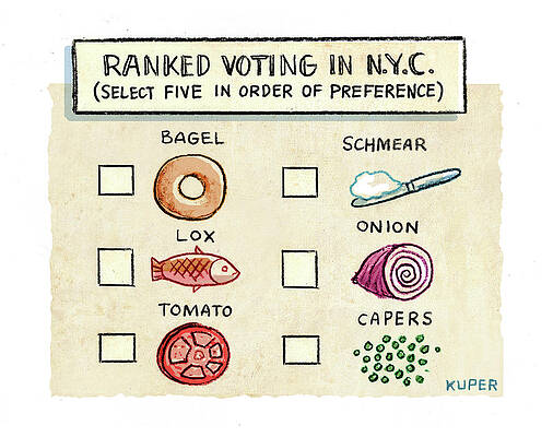 Vegetable Drawing - Ranked Voting In NYC by Peter Kuper