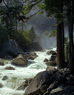Rapids Amidst Lush Forest by Bonnie Colgan