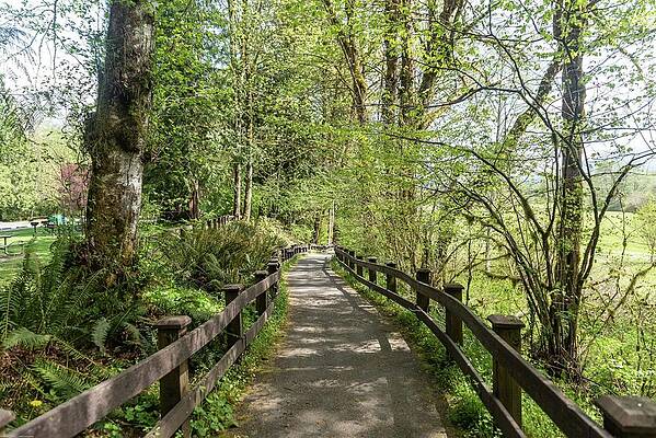 State Route 20 Photograph - Rasar State Park Trail by Tom Cochran