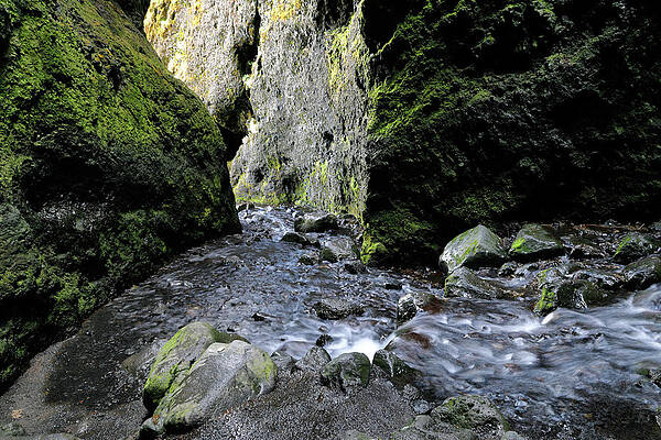 Wall Art featuring the photograph Raudfelsdsgja 1 by Nicholas Blackwell