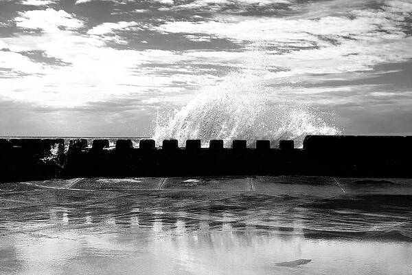 Portland Photograph - Reach by Mia Badenhorst