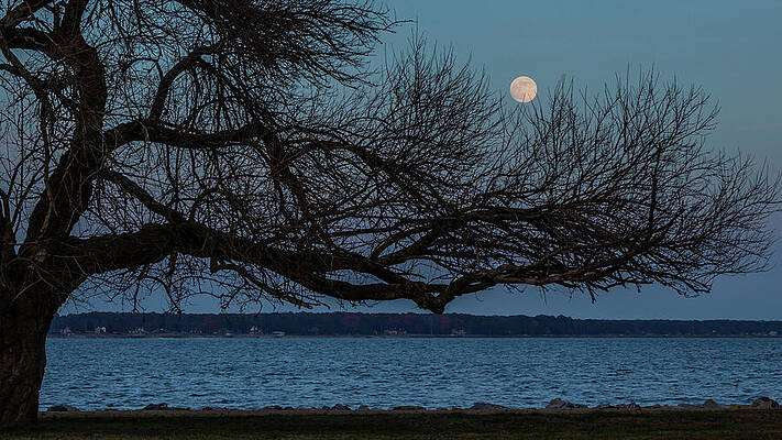Water Photograph - Reaching The Moon by David Fountain
