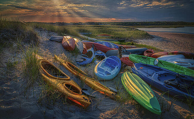 Wall Art featuring the photograph Ready And Waiting by Penny Polakoff