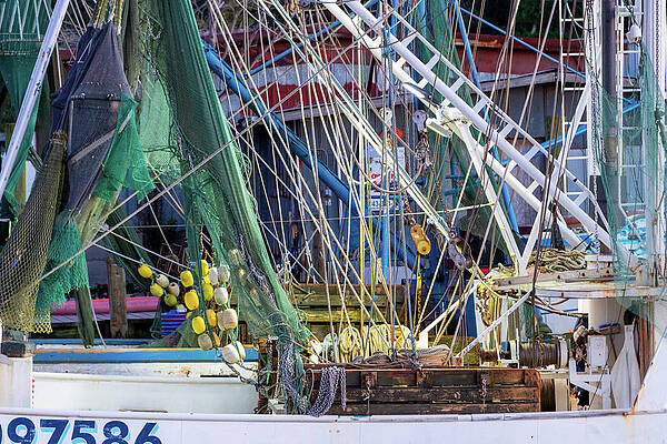 South Carolina Wall Art featuring the photograph Ready For The Catch by Douglas Wielfaert