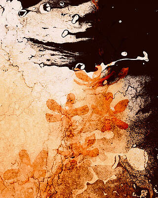 Abstract Digital Art - Reclaimed Wall by Canessa Thomas