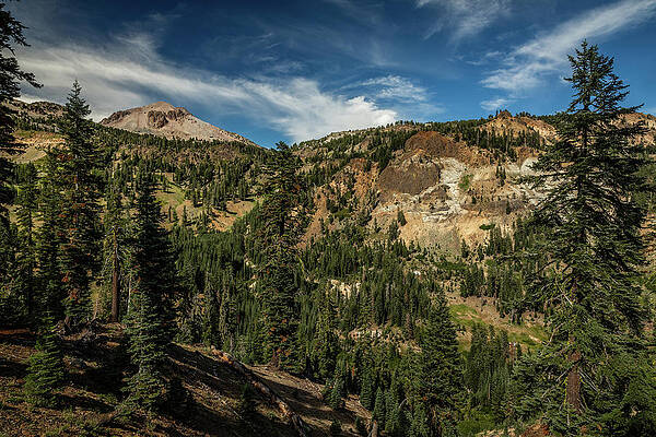 California Wall Art featuring the photograph Reclamation by Tim Lyden