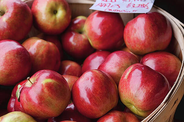 Basket of Fresh Red Apples Photograph