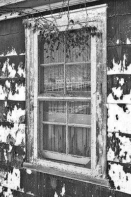 Country Photograph - Red Barn Reflection BW by Susan Candelario