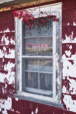 Country Photograph - Red Barn Reflection by Susan Candelario