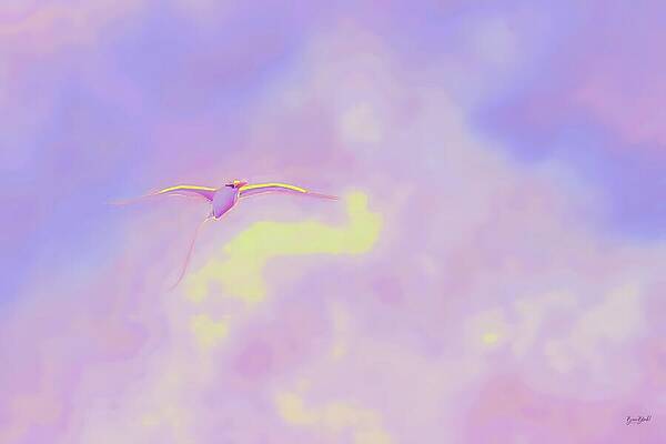Bird Soaring in Pastel Skies Wall Art