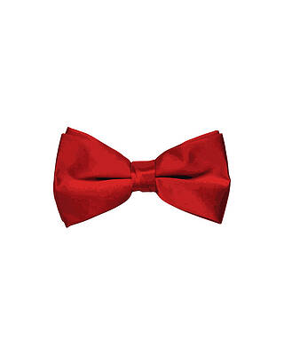 Cool Wall Art featuring the digital art Red Bow Tie by Flippin Sweet Gear