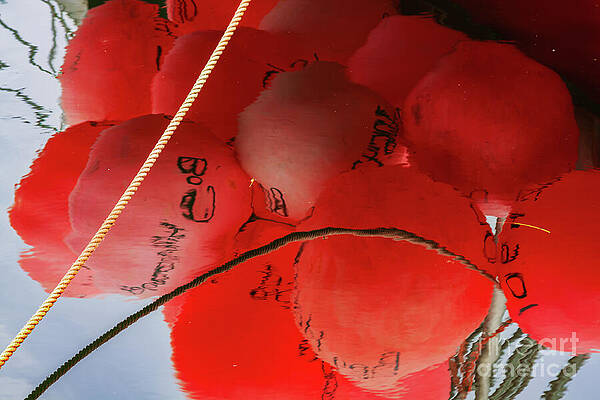Wall Art featuring the photograph Red Buoys Water Reflection by Tatiana Travelways
