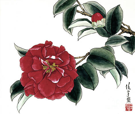 Garden Painting - Red Camellias I by Ren Yu