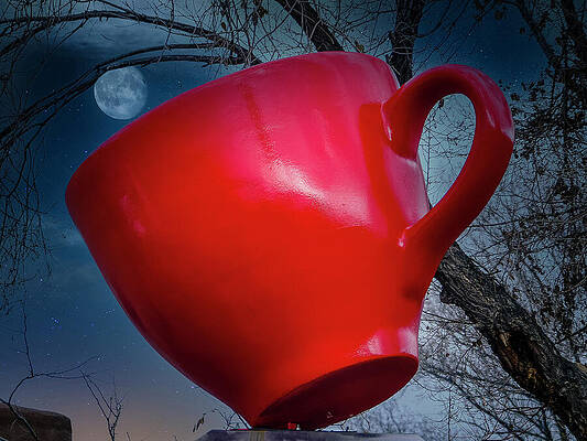 Tree Photograph - Red Cup, Taos, New Mexico by Robert Niemeier