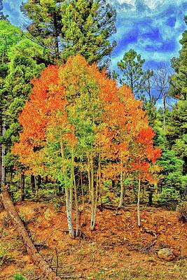 Sky Wall Art featuring the photograph Red, Green, Orange, Yellow-Digital Art by Steve Templeton