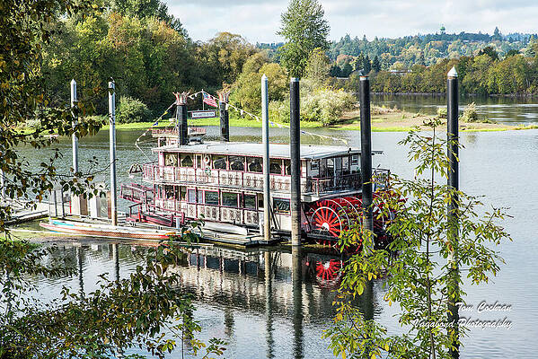 Photograph - Red Paddle Wheel by Tom Cochran