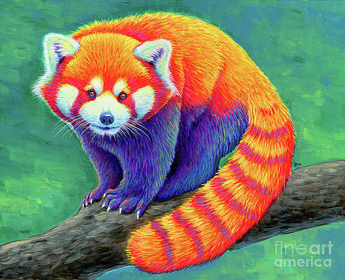 Red Panda Rainbow by Rebecca Wang